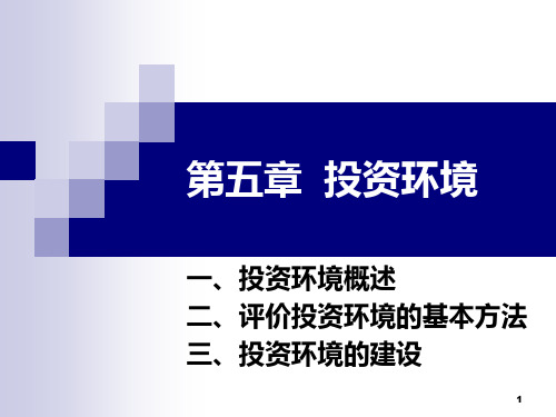 投资经济学第五章  投资环境PPT课件