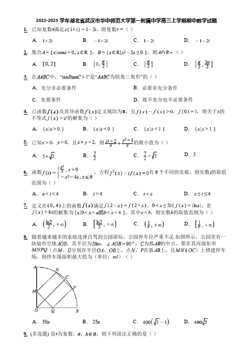 2022-2023学年湖北省武汉市华中师范大学第一附属中学高三上学期期中数学试题