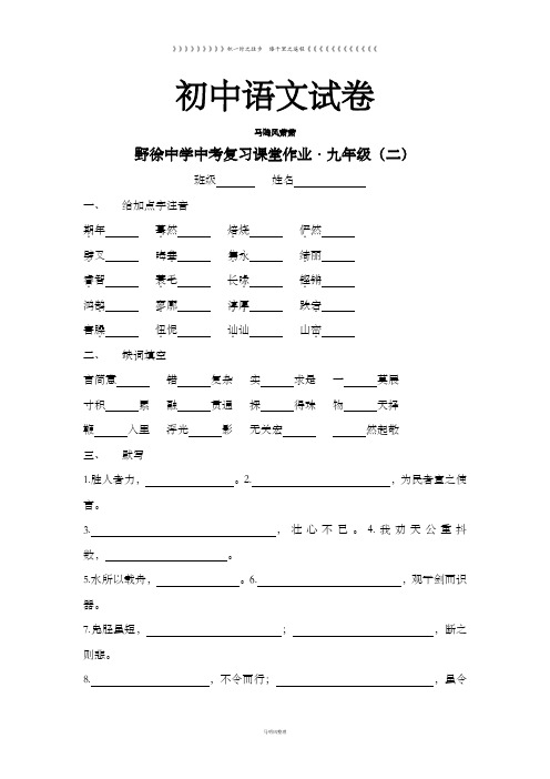 苏教版九下语文  复习课堂作业14