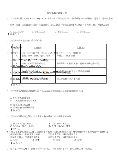 中考化学重要考点盐与化肥综合练习卷