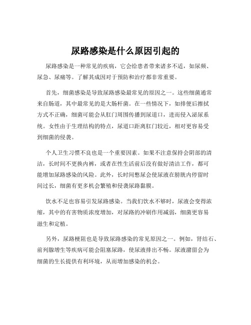 尿路感染是什么原因引起的