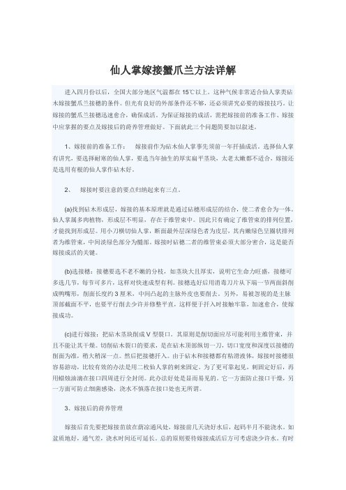 仙人掌嫁接蟹爪兰方法详解