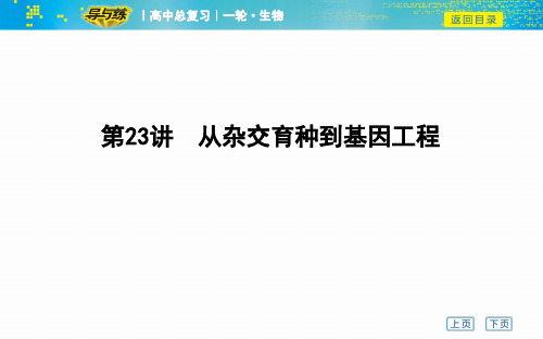 高2020届高2017级一轮复习人教版生物复习资料第23讲 从杂交育种到基因工程