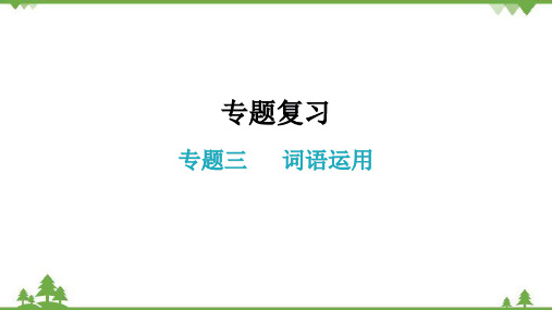 部编版语文八年级上册专题三词语运用专题复习课件