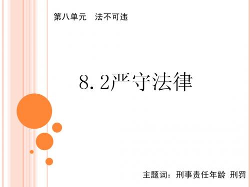 8.2严守法律-课件1
