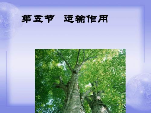 生物七年级上册5章5节运输作用课件北师大版