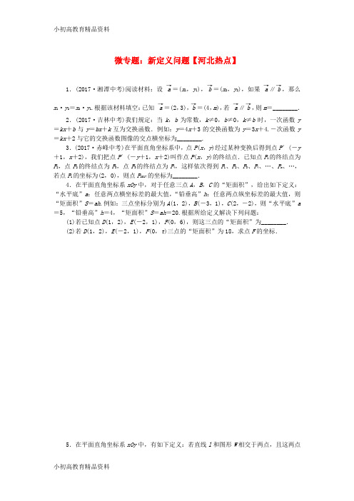 【拔高教育】7-8学年八年级数学下册 22 微专题 新定义问题习题 (新版)冀教版