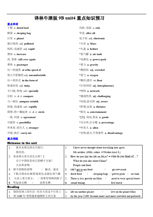 Unit4 重点词汇及词组背诵材料-2021-2022学年牛津译林版九年级英语下册