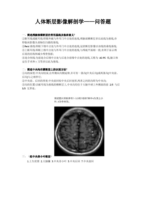 人体断层影像解剖学问答题