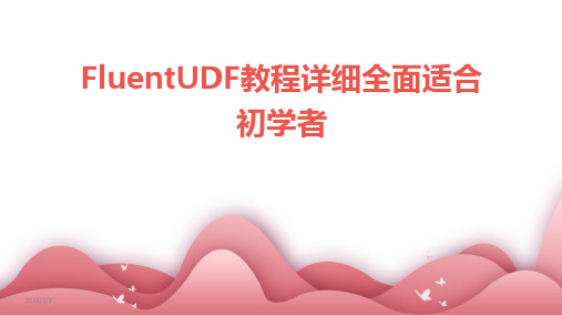 2024年度FluentUDF教程详细全面适合初学者