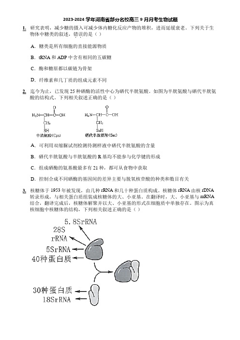 2023-2024学年河南省部分名校高三9月月考生物试题