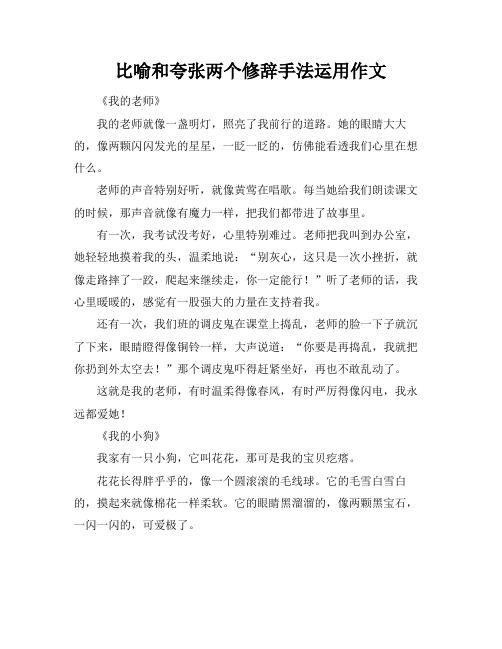 比喻和夸张两个修辞手法运用作文