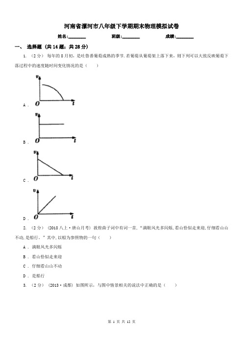 河南省漯河市八年级下学期期末物理模拟试卷