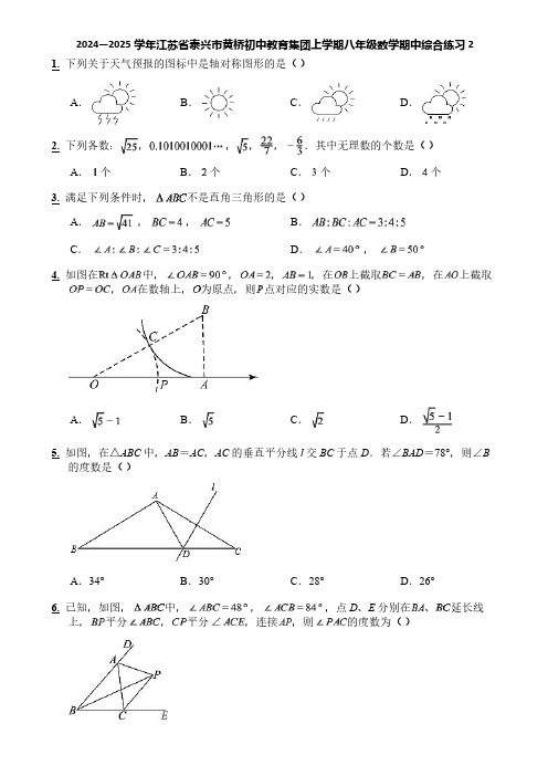 2024—2025学年江苏省泰兴市黄桥初中教育集团上学期八年级数学期中综合练习2