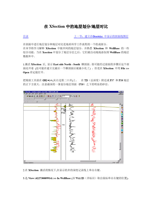 Discovery操作手册6第六章 横剖面上顶层拾取和相关对比5