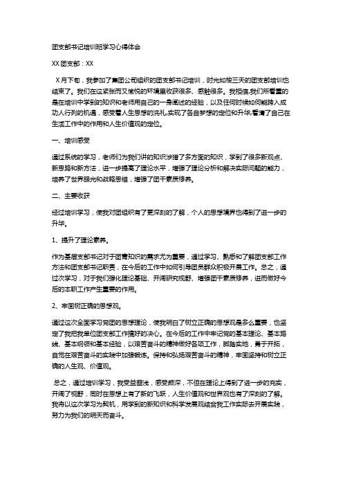 团支部培训团书记的心得体会