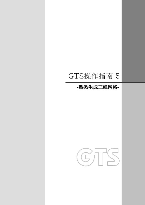 8-GTS-操作指南 5