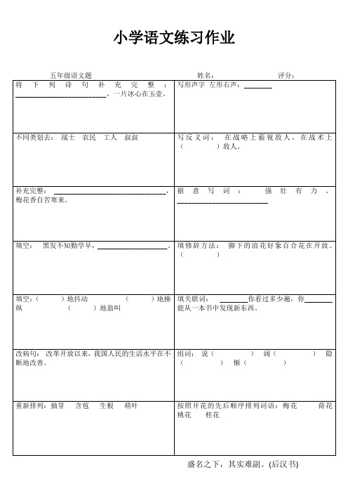 小学五年级语文精题选做III (5)