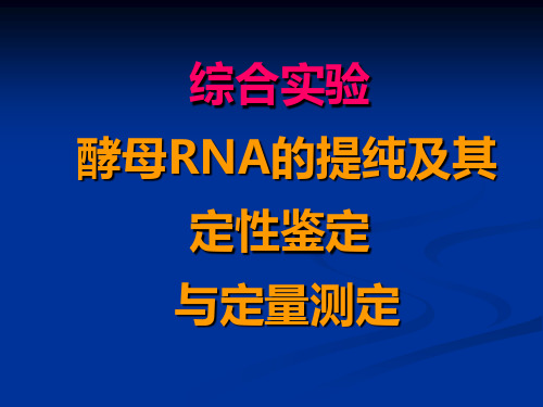 酵母RNA 的提取、鉴定和定量测定实验