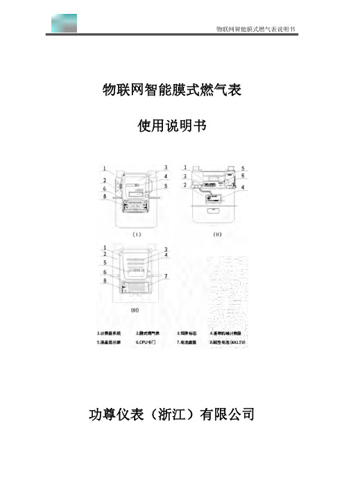 物联网智能膜式燃气表说明书