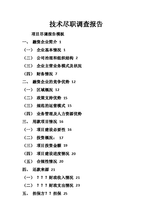 技术尽职调查报告