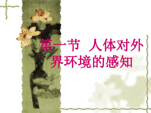 《人体对外界环境的感知》眼和视觉(改)