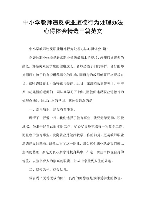 中小学教师违反职业道德行为处理办法心得体会精选三篇范文