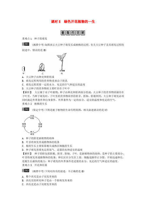 2019年中考生物总复习主题三生物圈中的绿色植物课时5被子植物的一生(含答案)