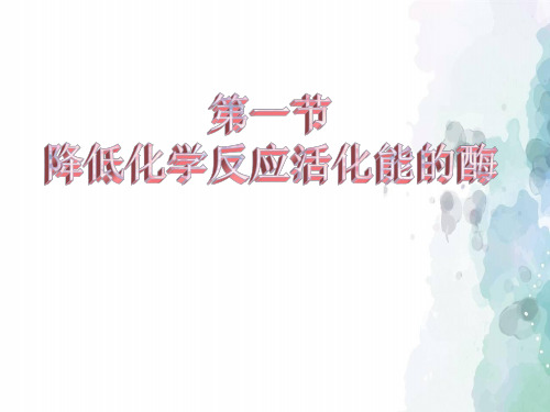 5.1 降低化学反应活化能的酶-人教版(2019)高中生物必修一课件