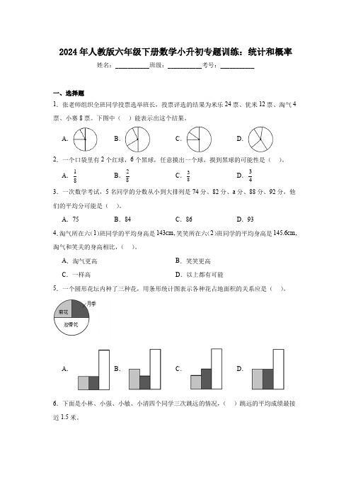 2024年人教版六年级下册数学小升初专题训练：统计和概率