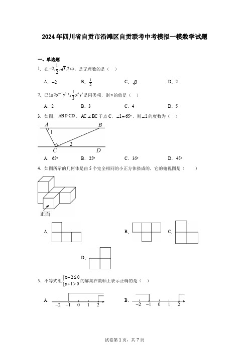 2024年四川省自贡市沿滩区自贡联考中考模拟一模数学试题
