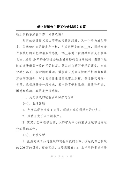 新上任销售主管工作计划范文5篇