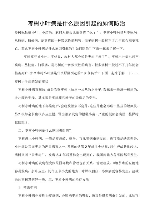 枣树小叶病是什么原因引起的如何防治