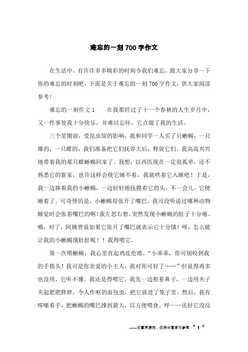 难忘的一刻700字作文