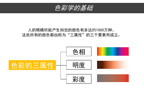 个人色彩