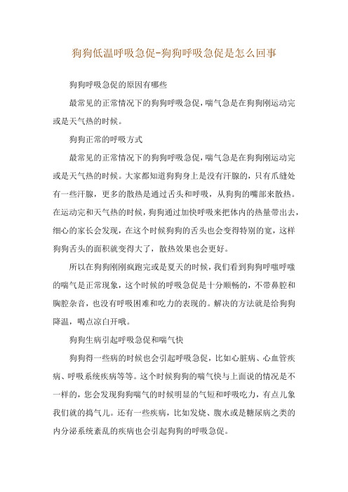 狗狗低温呼吸急促-狗狗呼吸急促是怎么回事