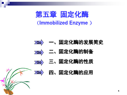 第五章-固定化酶..