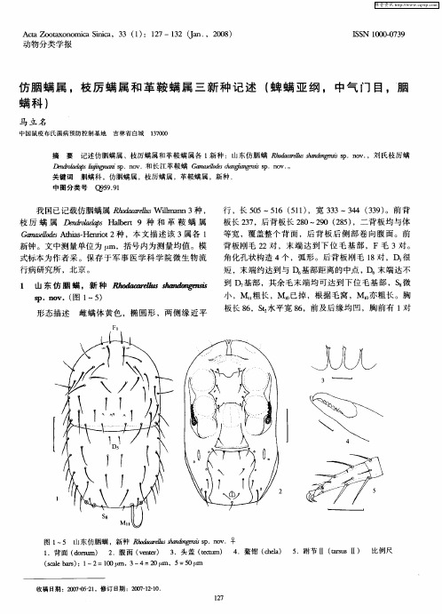 仿胭螨属,枝厉螨属和革鞍螨属三新种记述(蜱螨亚纲,中气门目,胭螨科)