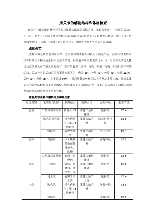 肩关节解剖及体格检查