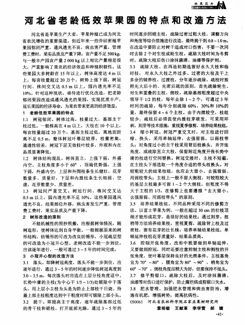 河北省老龄低效苹果园的特点和改造方法