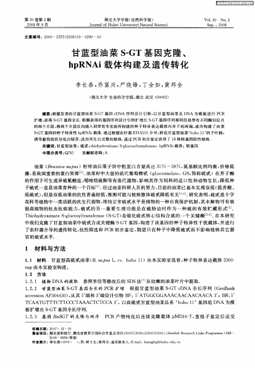 甘蓝型油菜S-GT基因克隆、hpRNAi载体构建及遗传转化