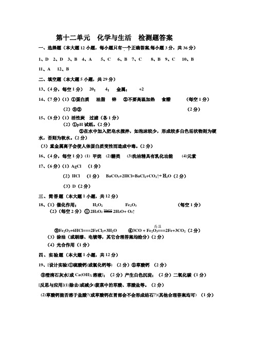 新版人教版初三九年级下册化学第12单元 与生活 检测题答案