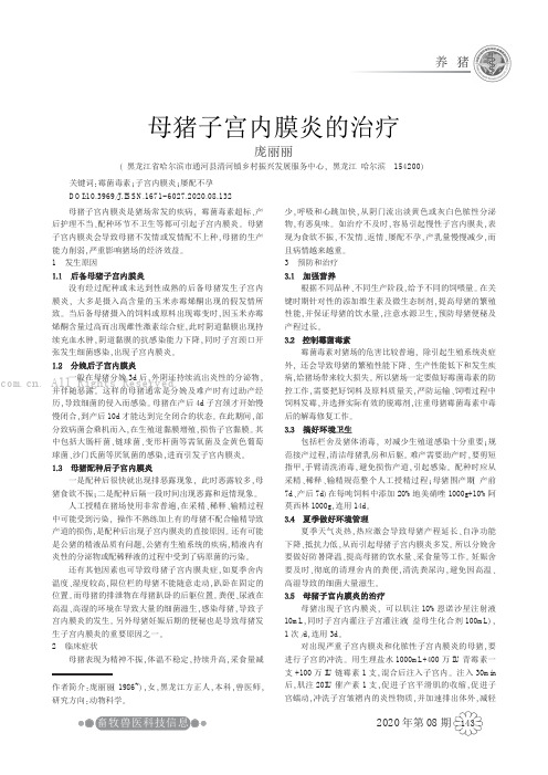 母猪子宫内膜炎的治疗