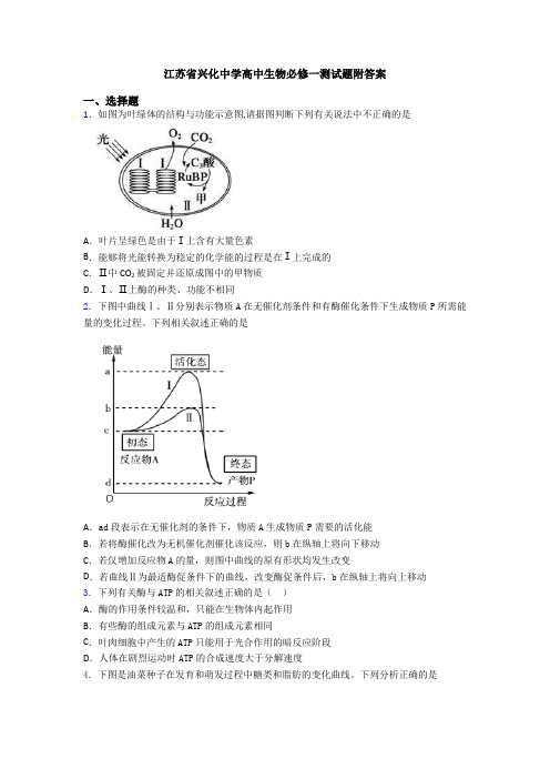 江苏省兴化中学高中生物必修一测试题附答案