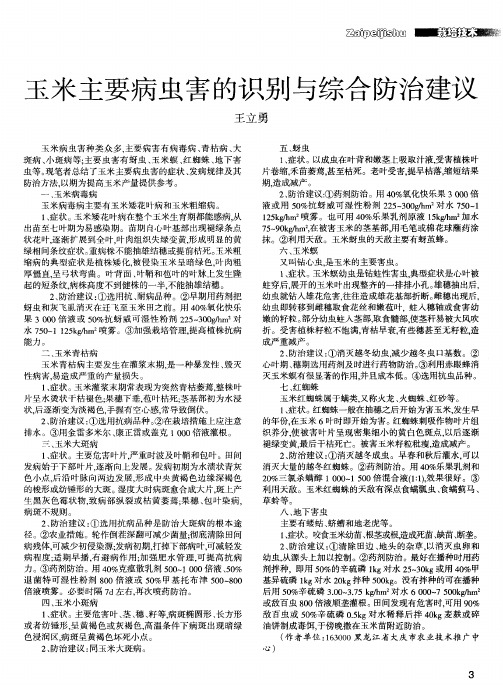 玉米主要病虫害的识别与综合防治建议