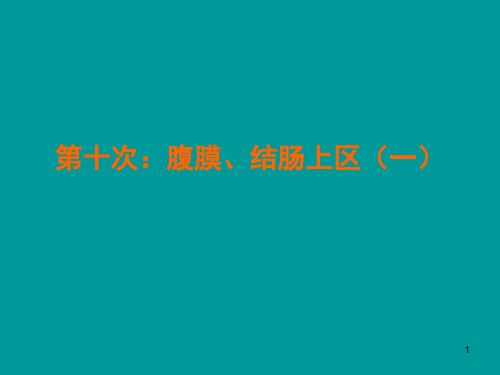 局部解剖学 第十次腹膜结肠上区(一)PPT课件