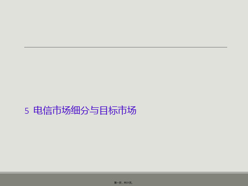 5  电信市场细分与目标市场