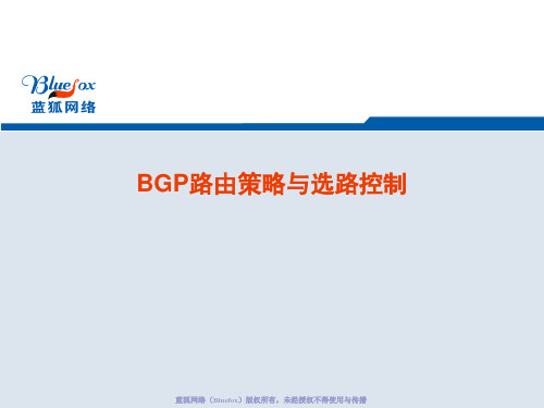 BGP路由策略与选路控制(第三次)精品PPT课件