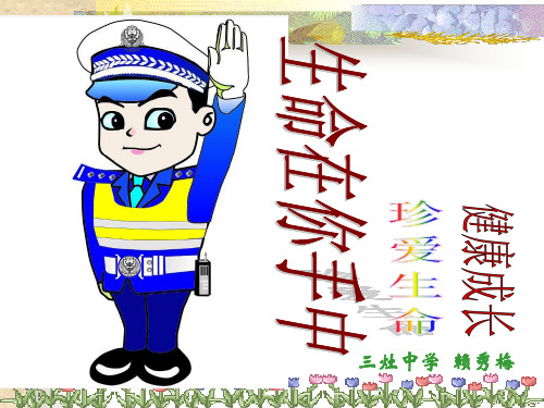 珍爱生命_注意交通安全课件(PPT50页)
