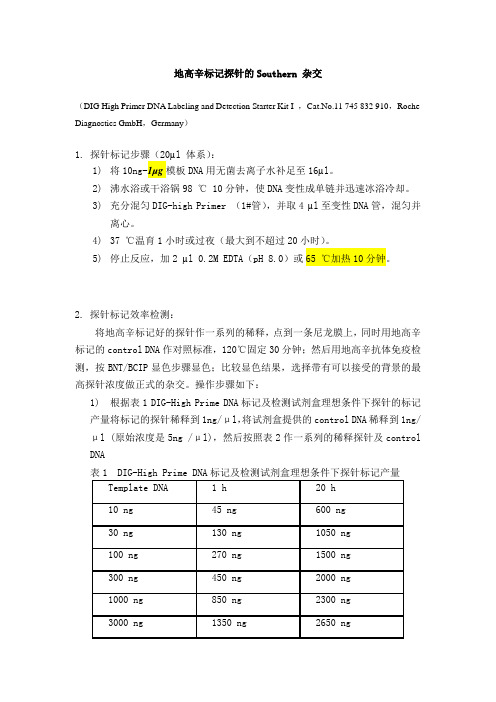 地高辛标记探针的Southern杂交